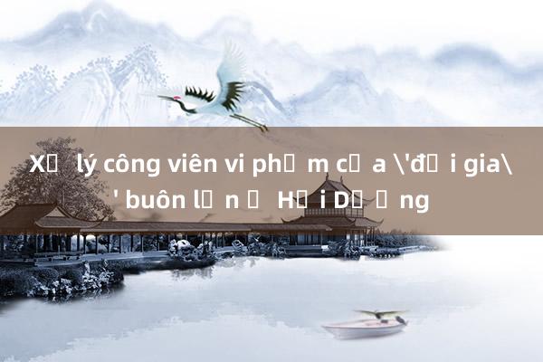 Xử lý công viên vi phạm của 'đại gia' buôn lợn ở Hải Dương