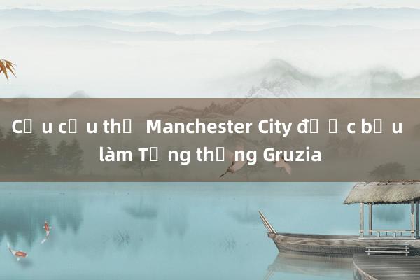 Cựu cầu thủ Manchester City được bầu làm Tổng thống Gruzia