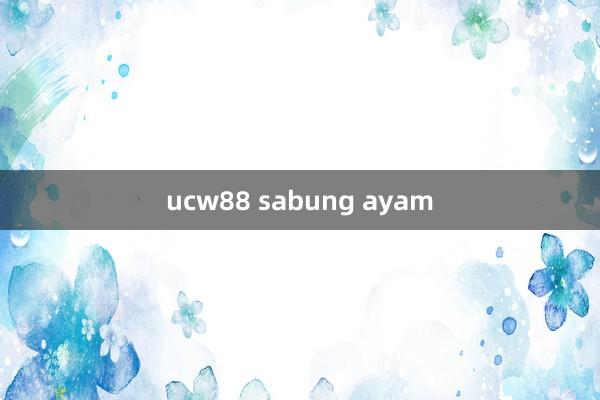 ucw88 sabung ayam