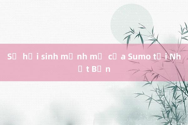 Sự hồi sinh mạnh mẽ của Sumo tại Nhật Bản