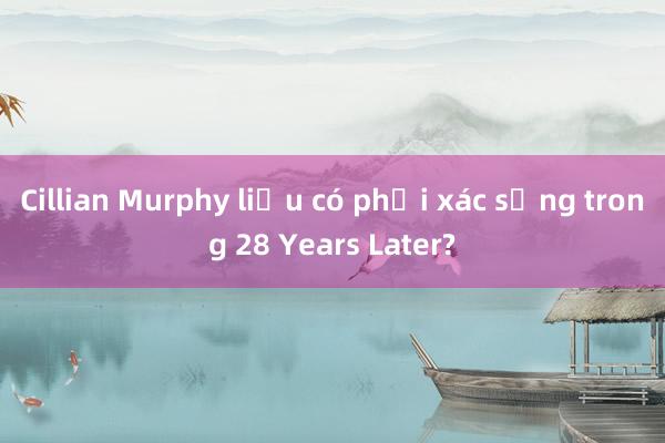 Cillian Murphy liệu có phải xác sống trong 28 Years Later?