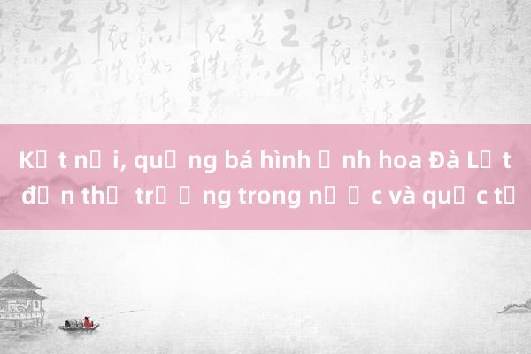 Kết nối, quảng bá hình ảnh hoa Đà Lạt đến thị trường trong nước và quốc tế