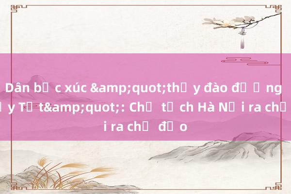 Dân bức xúc &quot;thấy đào đường là thấy Tết&quot;: Chủ tịch Hà Nội ra chỉ đạo